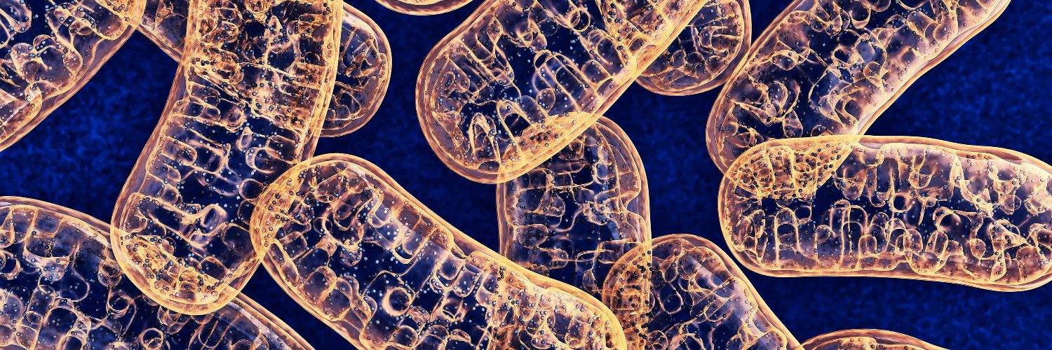 ɪʟʟɪᴛʜɪᴅ banner