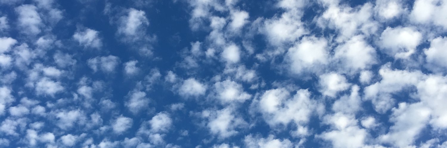 alienqu69n's profile banner image