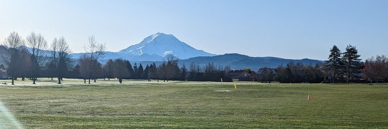 Payne Plaster banner