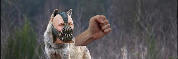 WolfbaneFist's profile banner image