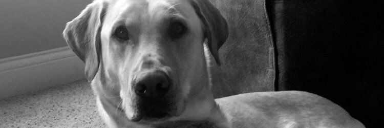 TaylorrrHalll's profile banner image