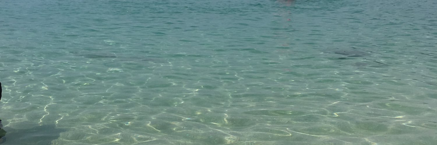 ayu_66210's profile banner image