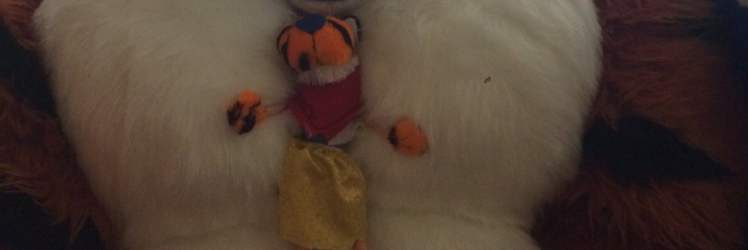 FursuitBarbie's profile banner image