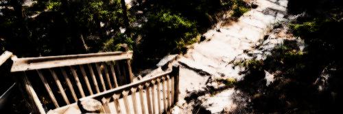 allisonkokgdr's profile banner image