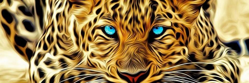 _MrAnonimo_'s profile banner image