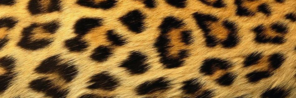 EmKeatss's profile banner image