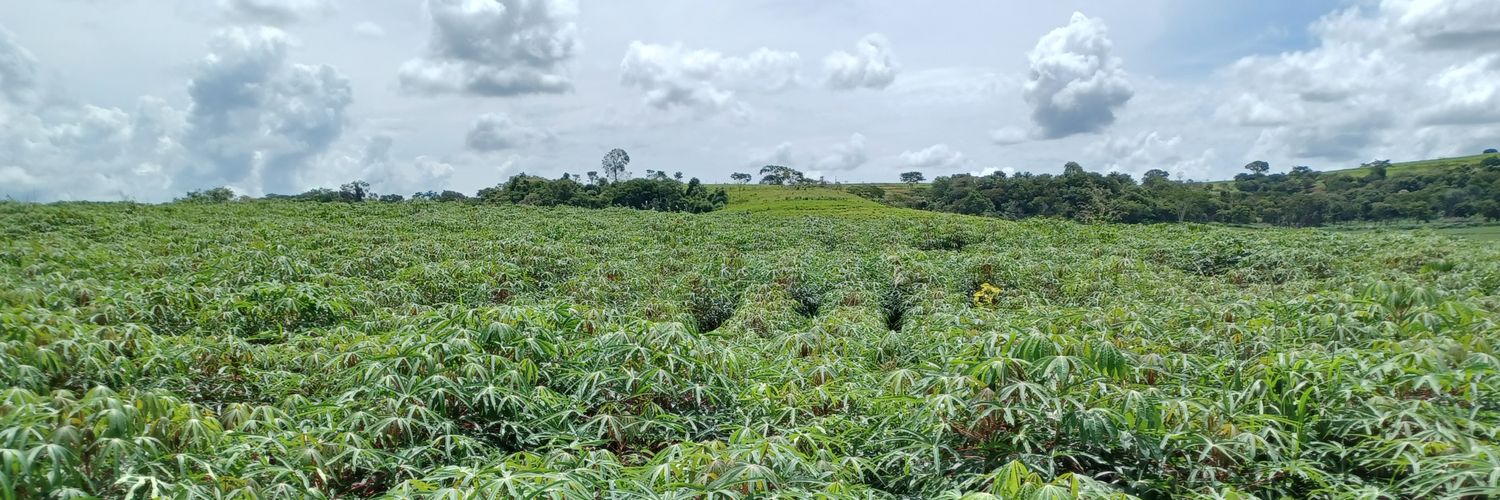 Fernando Lopes banner