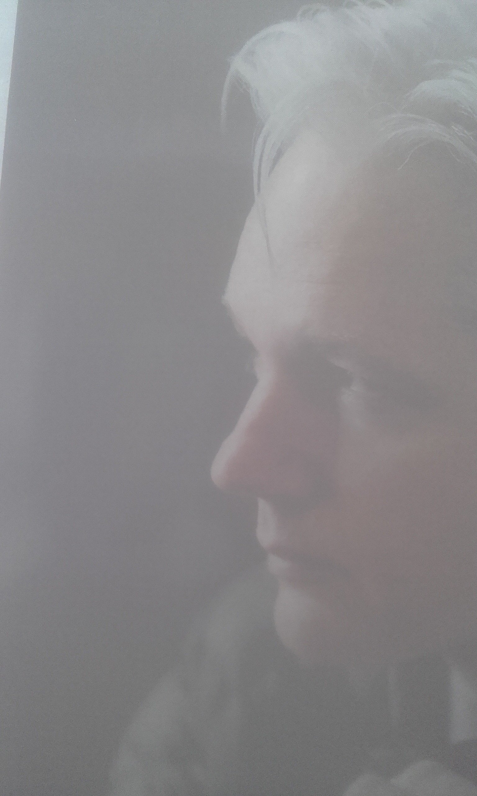 FREE ASSANGE NOW banner