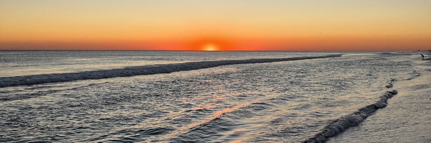 Rex_Warren2's profile banner image