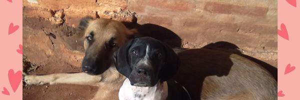 claudiazgo Profile Banner