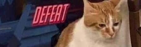 Kayveeeyy's profile banner image