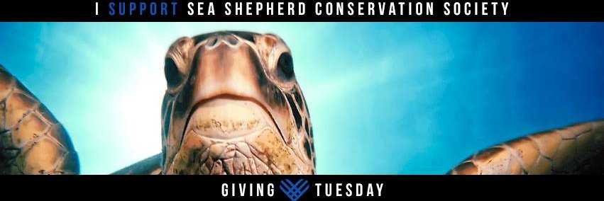 Operation Jairo banner