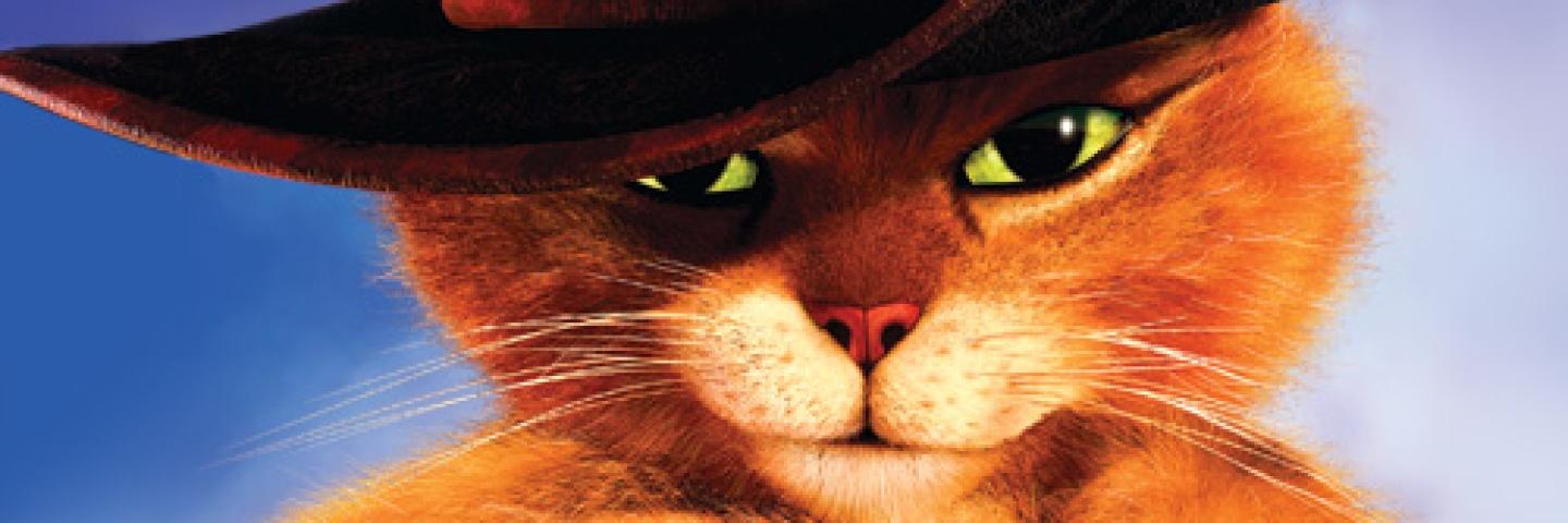ElGatoDelFollow's profile banner image
