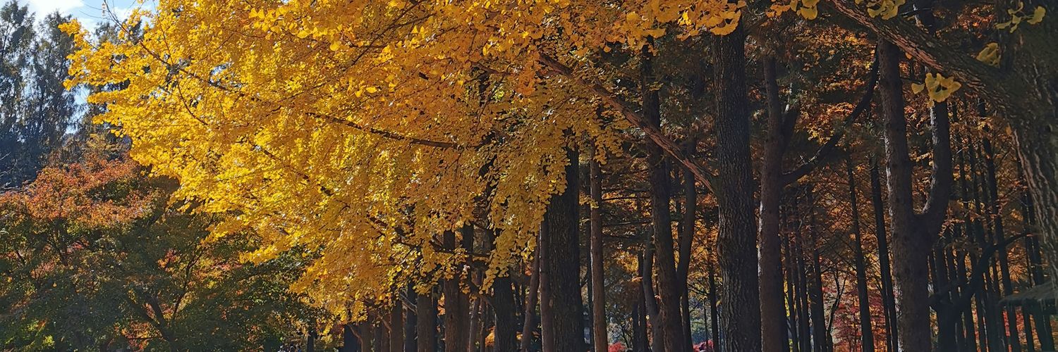 mnichwn's profile banner image