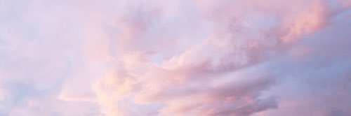 sashaafed's profile banner image