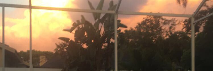 sydneysoftbal's profile banner image