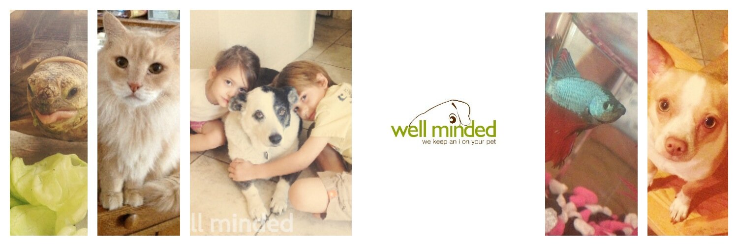 WellMinded's profile banner image