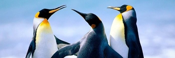 Prof. Jayanta K Nanda banner