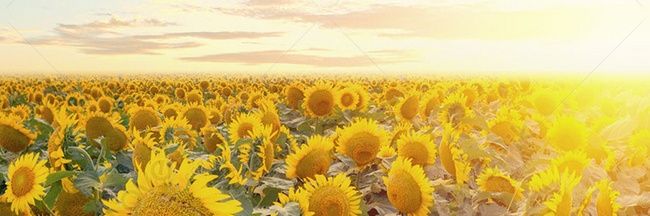 Another_Kee's profile banner image