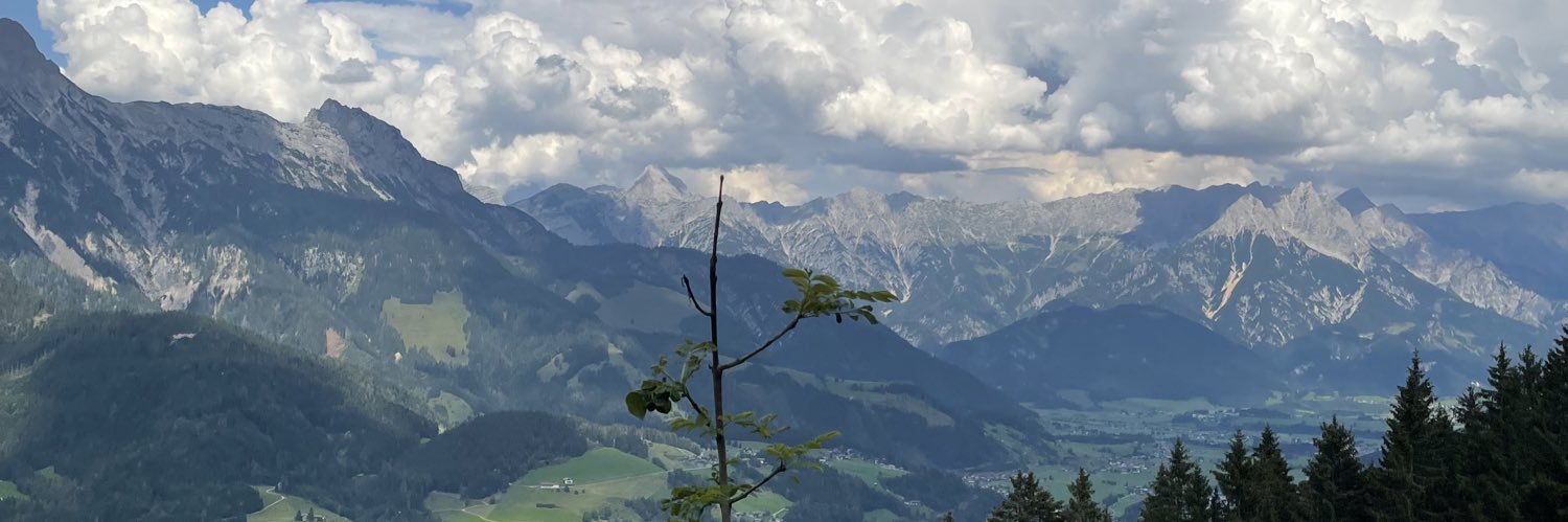 notenann's profile banner image