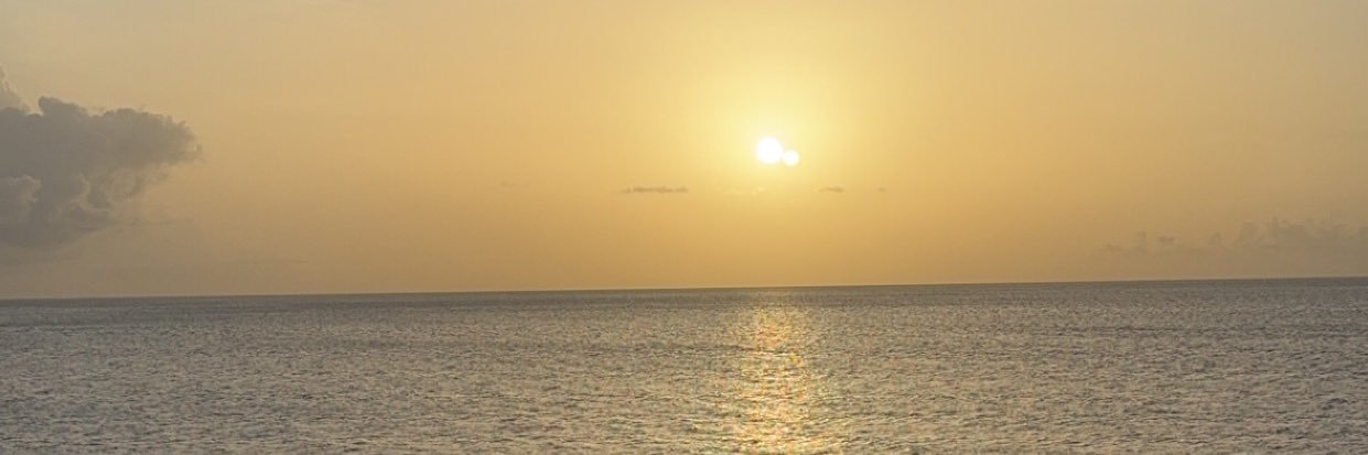sliceofdej's profile banner image