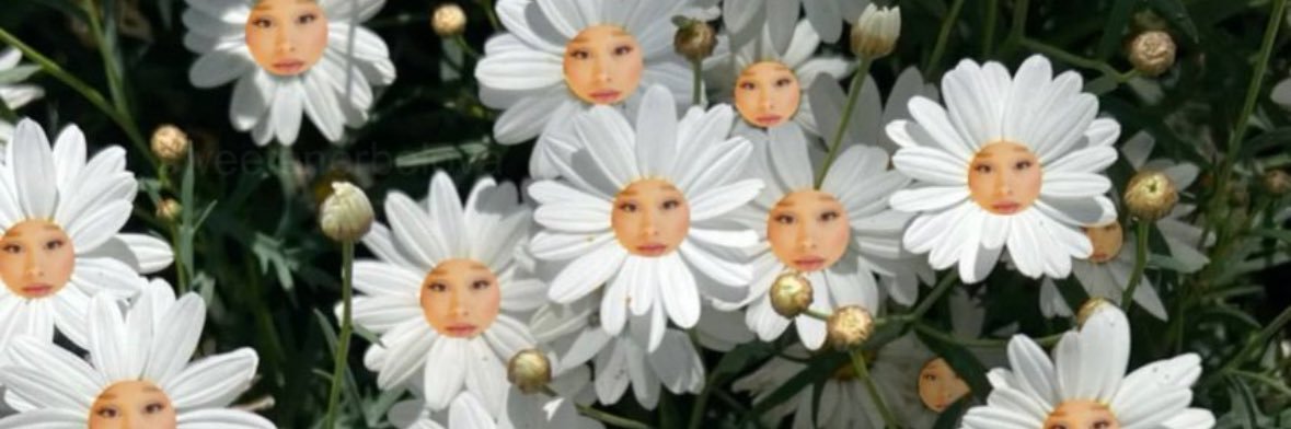 whyyoucechi's profile banner image