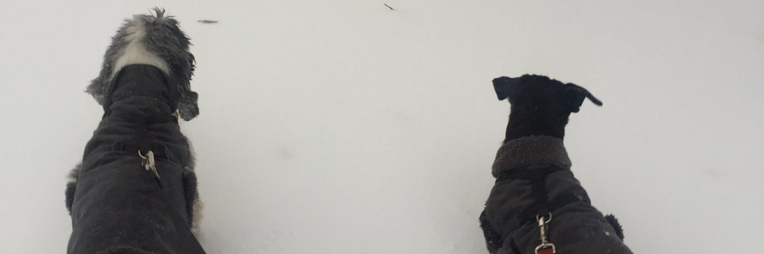 dbot1969's profile banner image