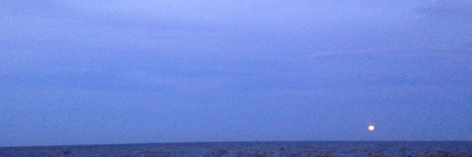 sawoodberry's profile banner image