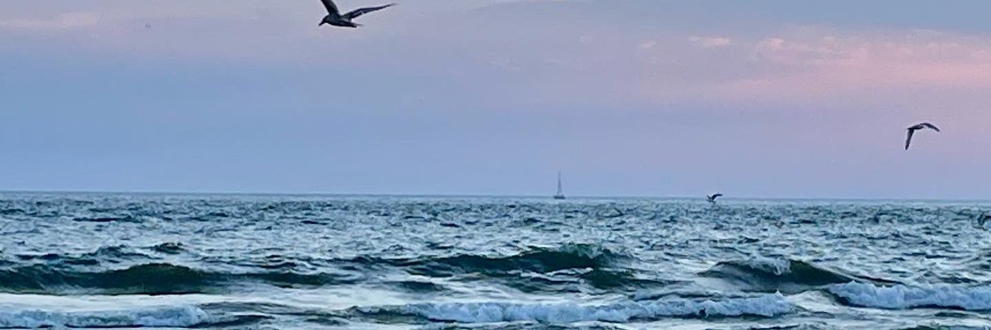 madisonbrown13's profile banner image