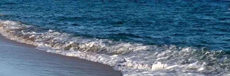 melanoo96's profile banner image