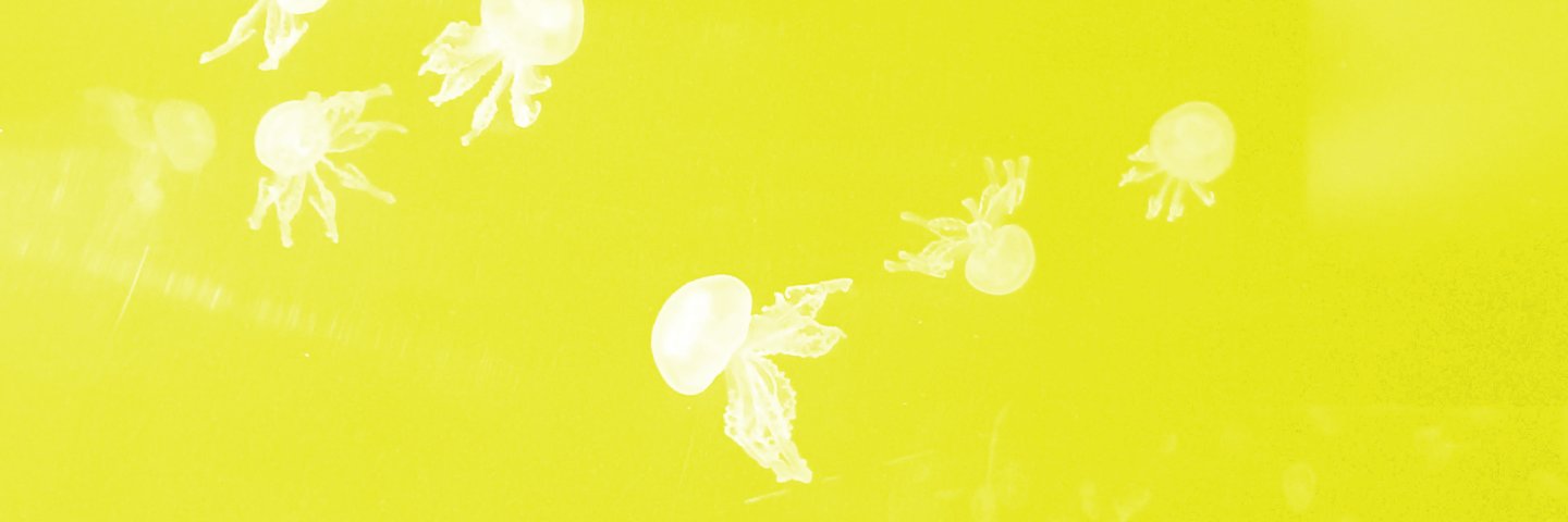 AliceInscript's profile banner image