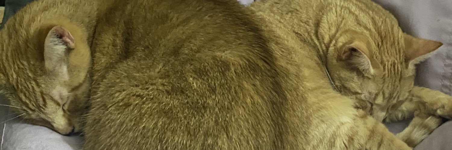 haleyjarc's profile banner image