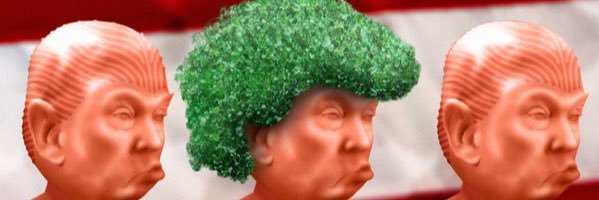 sillytrump's profile banner image