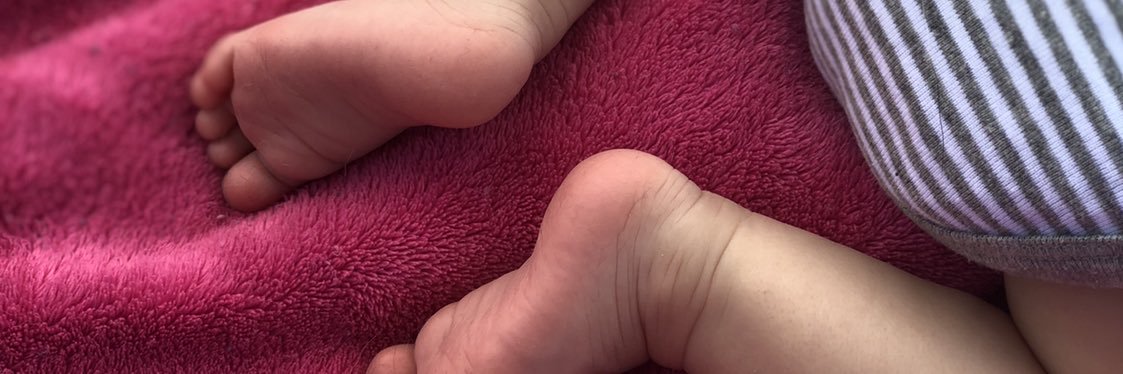 _AllyGator_'s profile banner image