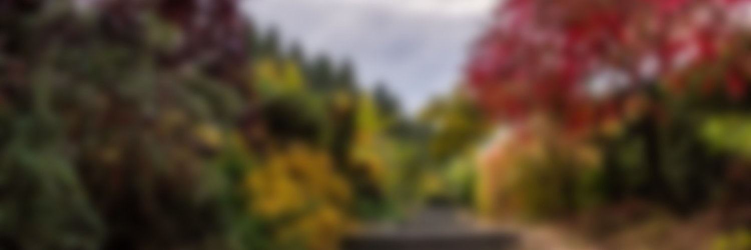 gardrek's profile banner image