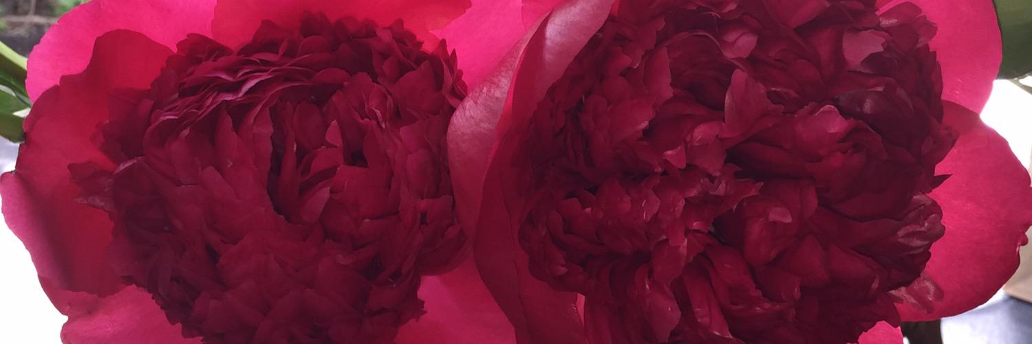 MakeEverydayB's profile banner image