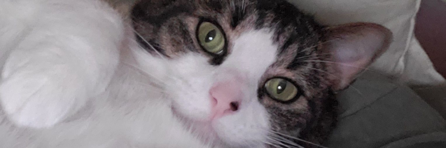 joetinder's profile banner image