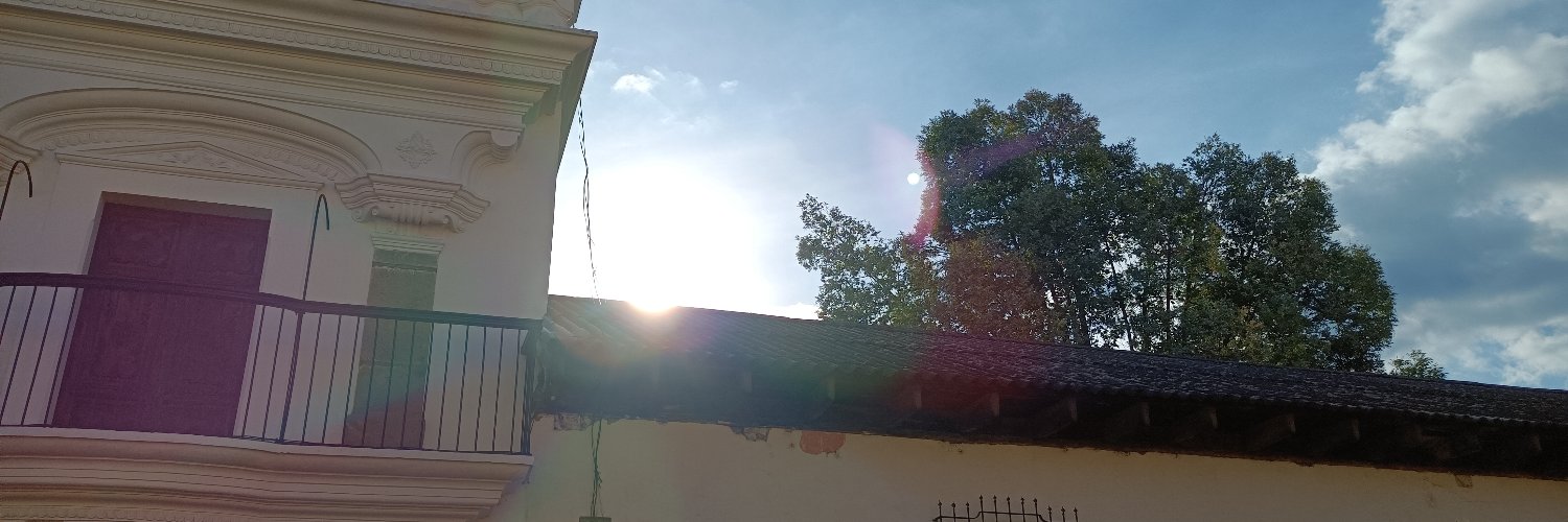 serdubon's profile banner image