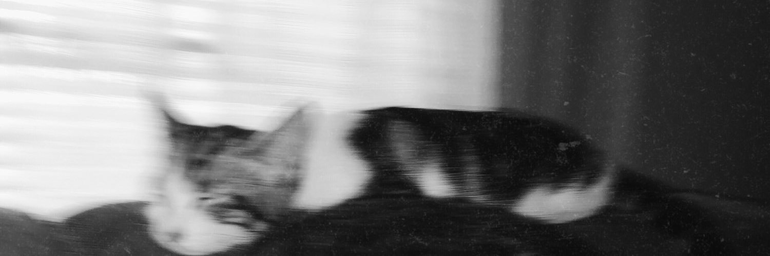 GP_M94's profile banner image