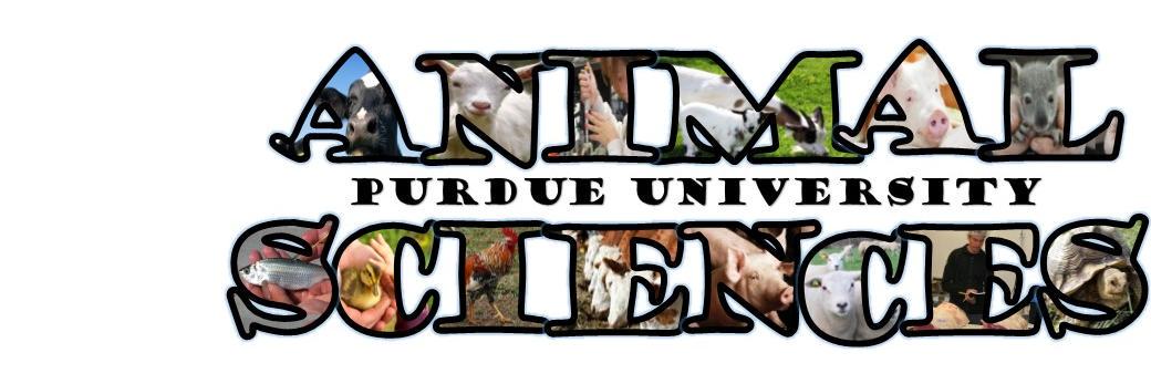ANSC_Purdue's profile banner image