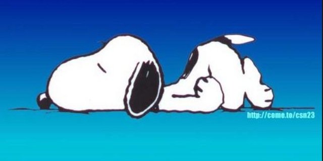alcanfeld's profile banner image