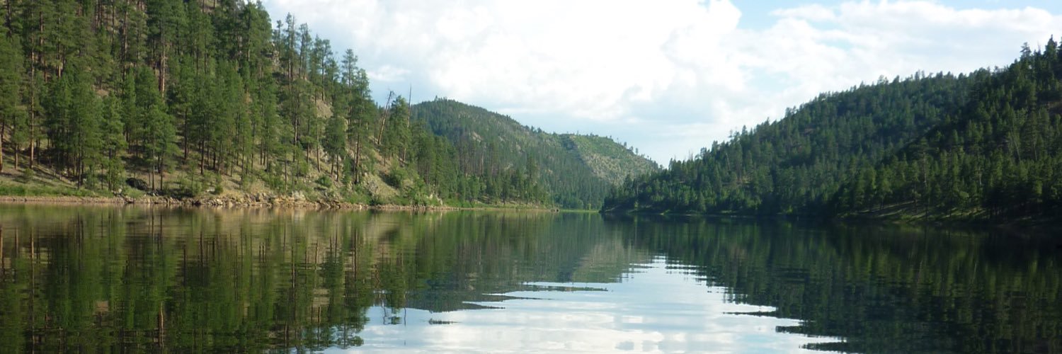 Sophie Allen-Etchart banner