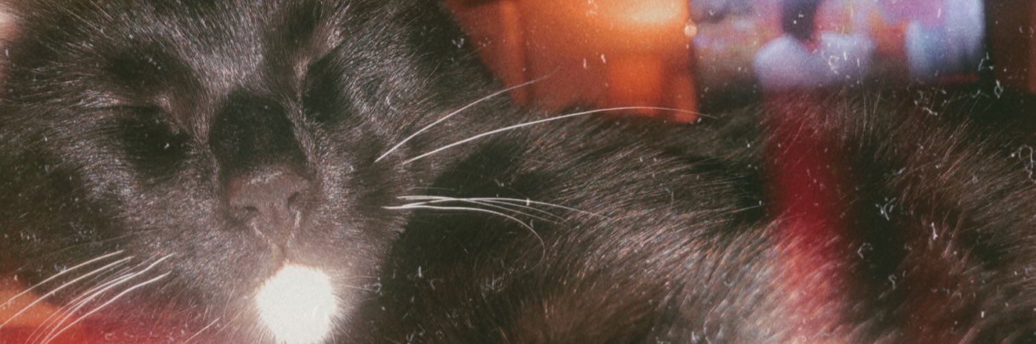 EFlorelle's profile banner image