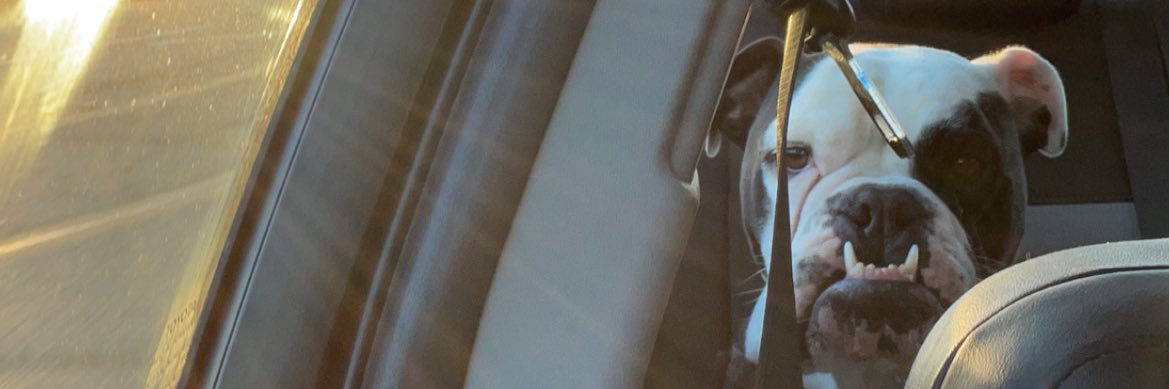 Sdeldios's profile banner image