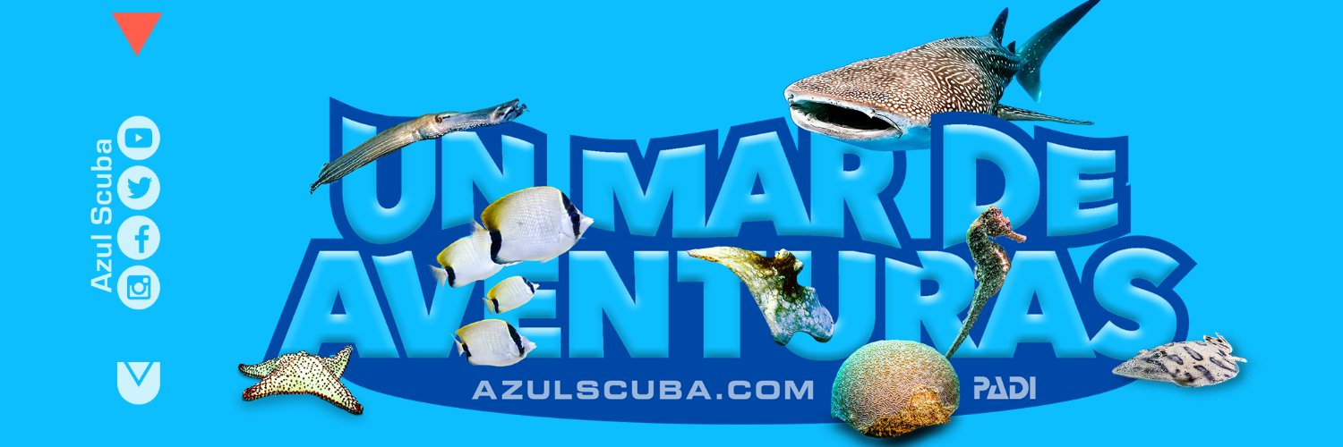 AzulScuba's profile banner image
