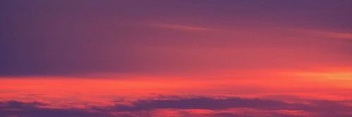 celinarayna's profile banner image