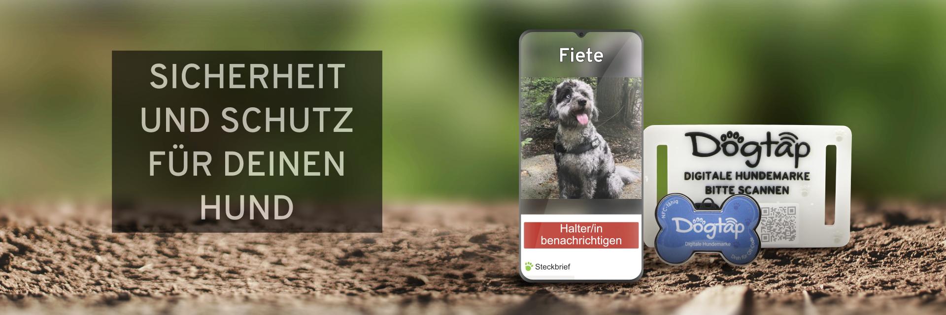 Dog_Tap's profile banner image