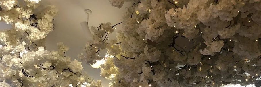 inaa_sy's profile banner image