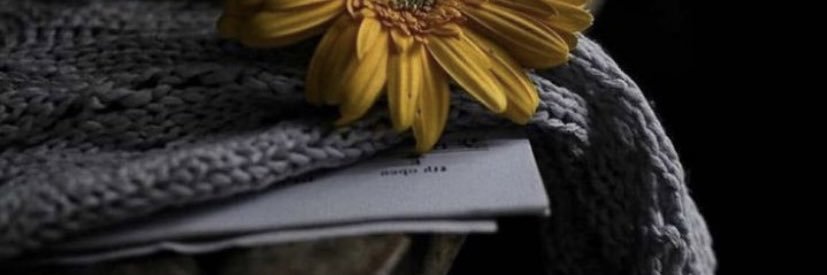 nesreenalkhalaf's profile banner image
