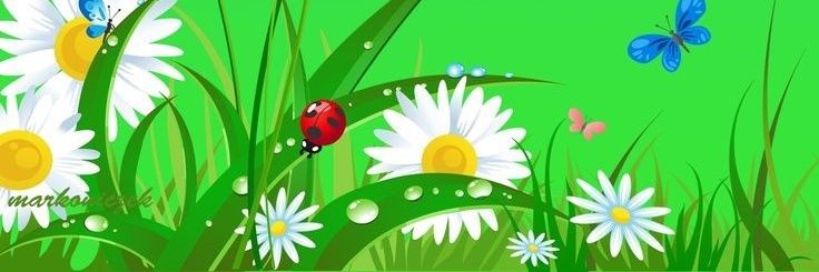 adriluz580's profile banner image